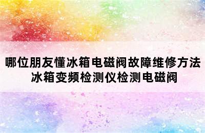 哪位朋友懂冰箱电磁阀故障维修方法 冰箱变频检测仪检测电磁阀